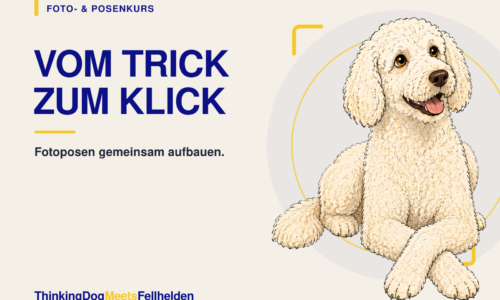 Kursvorschaubild